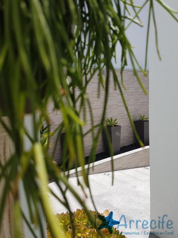 Fotografie z fotogalerie ubytování Apartamentos El Arrecife v destinaci Conil de la Frontera