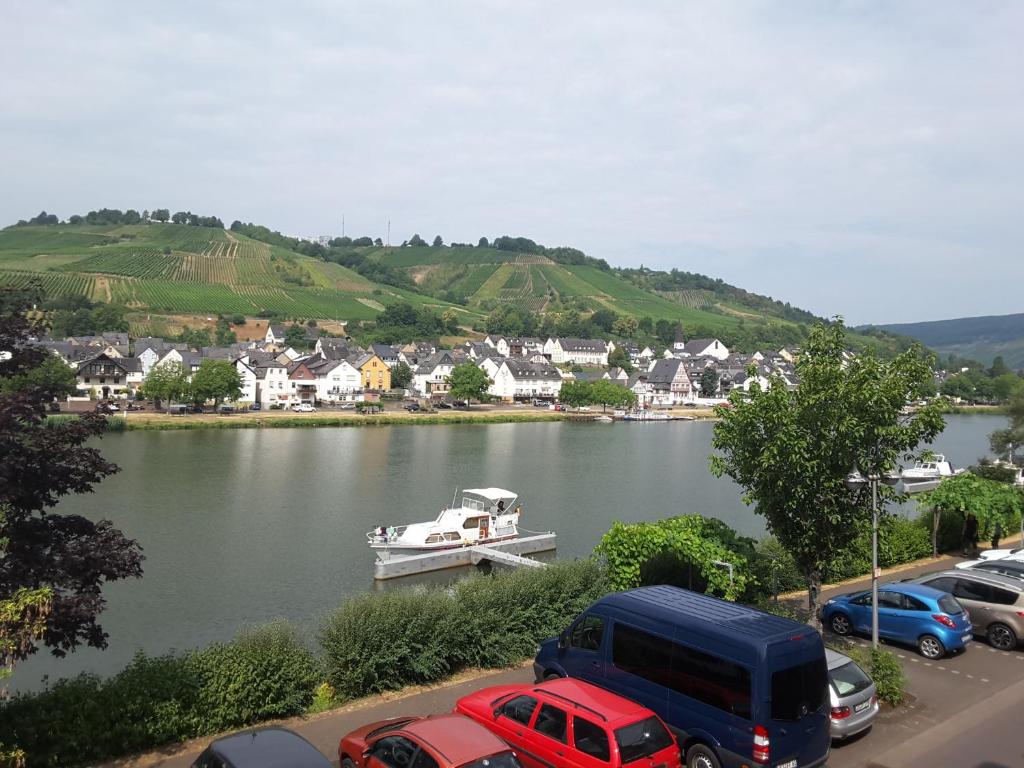 Mosel Panorama - 6