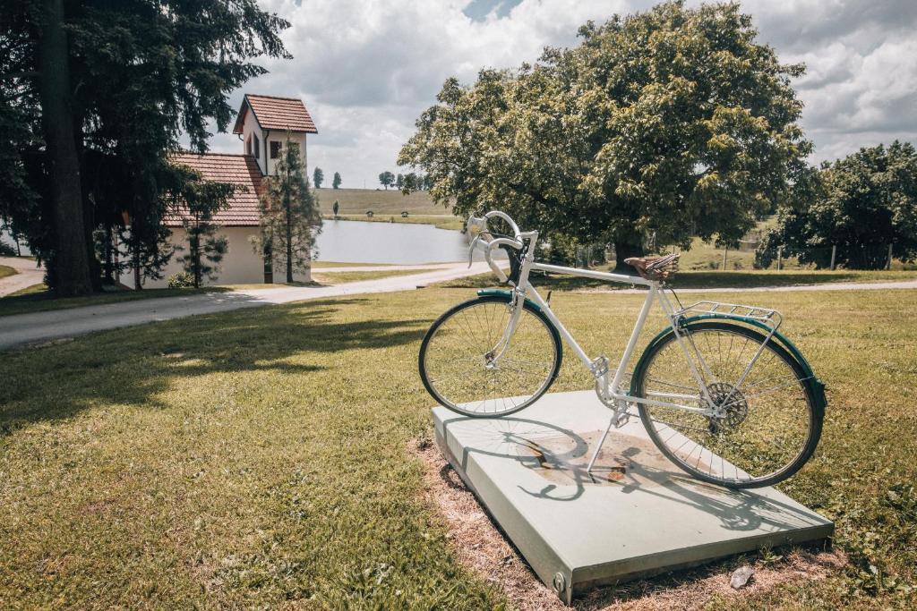 Jízda na kole v ubytování Apartmán v přírodě v srdci Vysočiny 1 nebo okolí