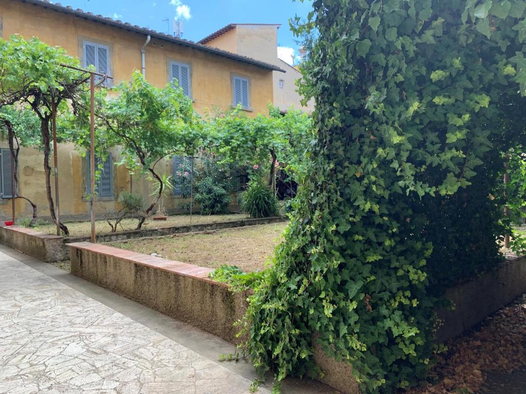 Un jardín fuera de NEW GENERATION HOSTEL Florence