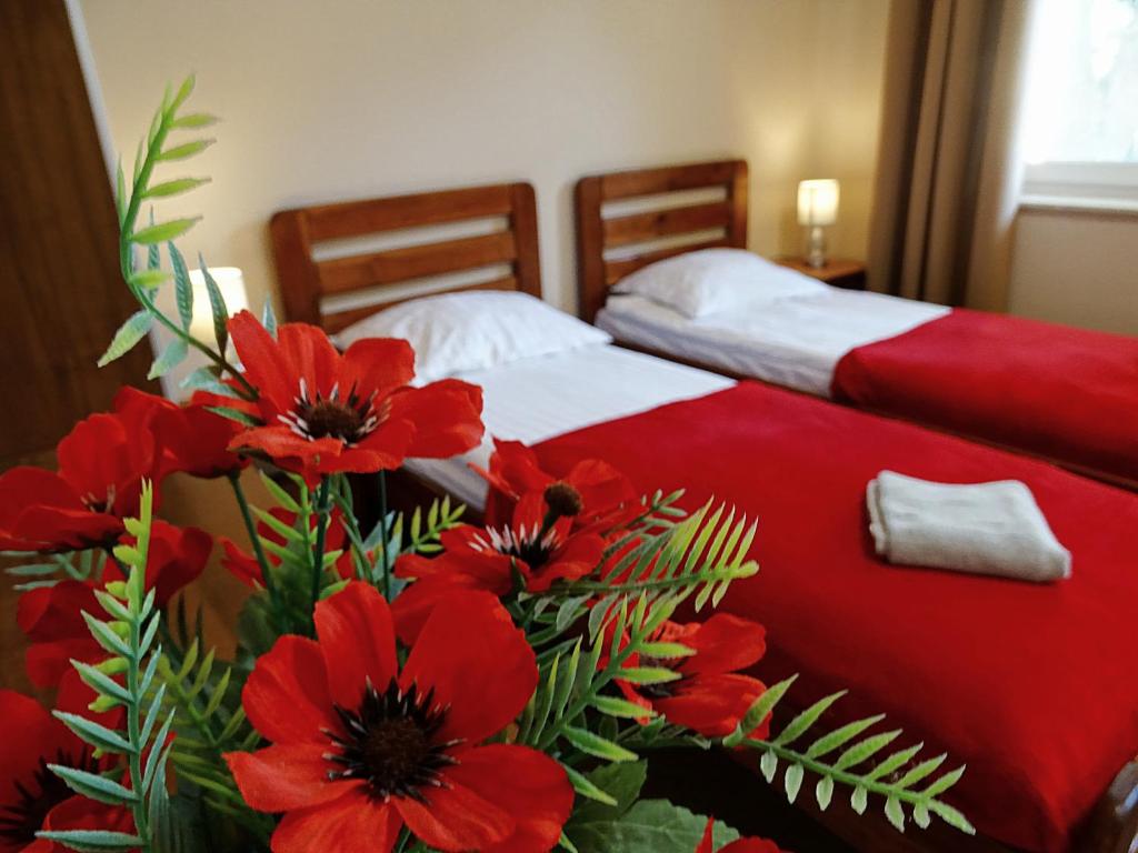 two beds with red flowers in a hotel room at Nowa Fregata - pokoje nad morzem in Jastrzębia Góra