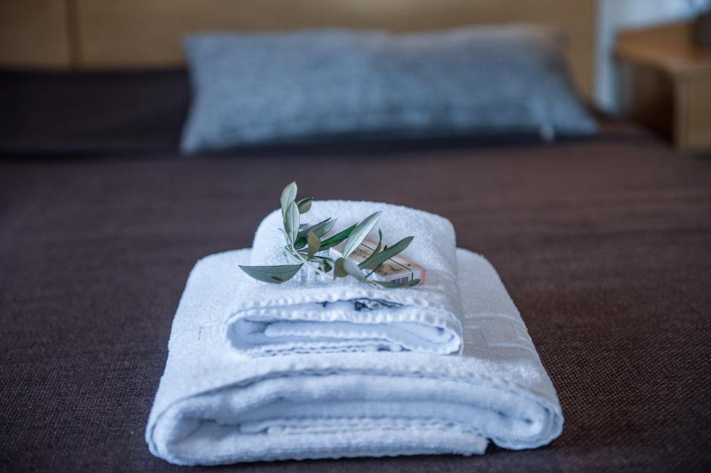 Mirtilos Studios & Apartments - 12