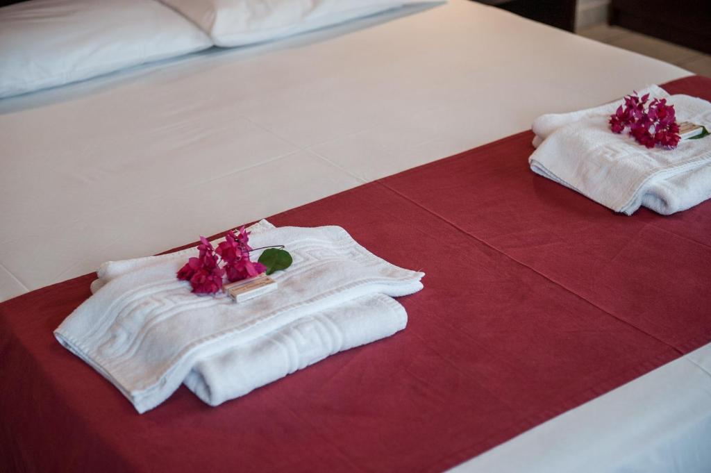 Mirtilos Studios & Apartments - 1