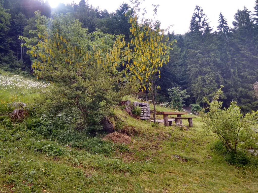 Příroda nedaleko farmy