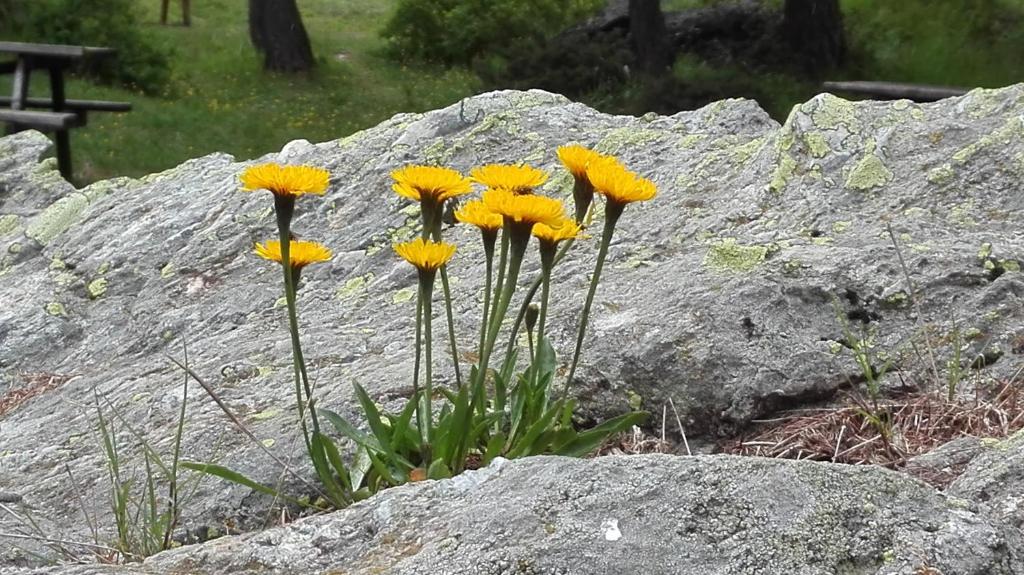 Fotografie z fotogalerie ubytování B&B Corte Rossa v destinaci Tirano