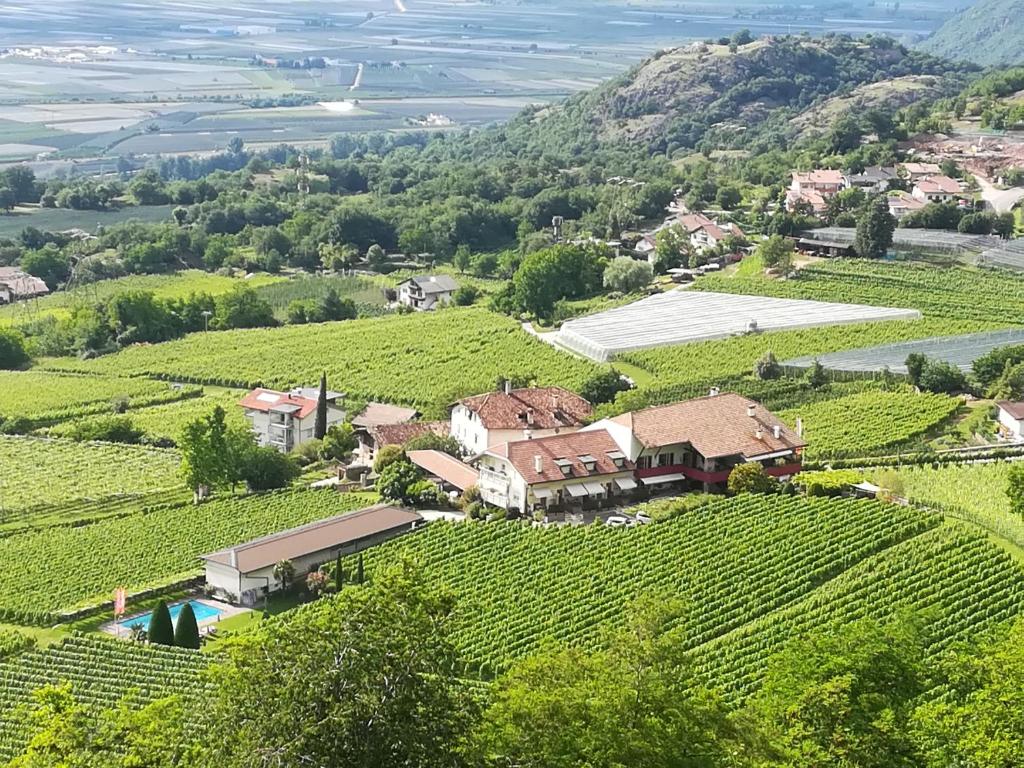 un domaine dans un vignoble sur une colline dans l'établissement Residence Hof am Keller, à Montagna