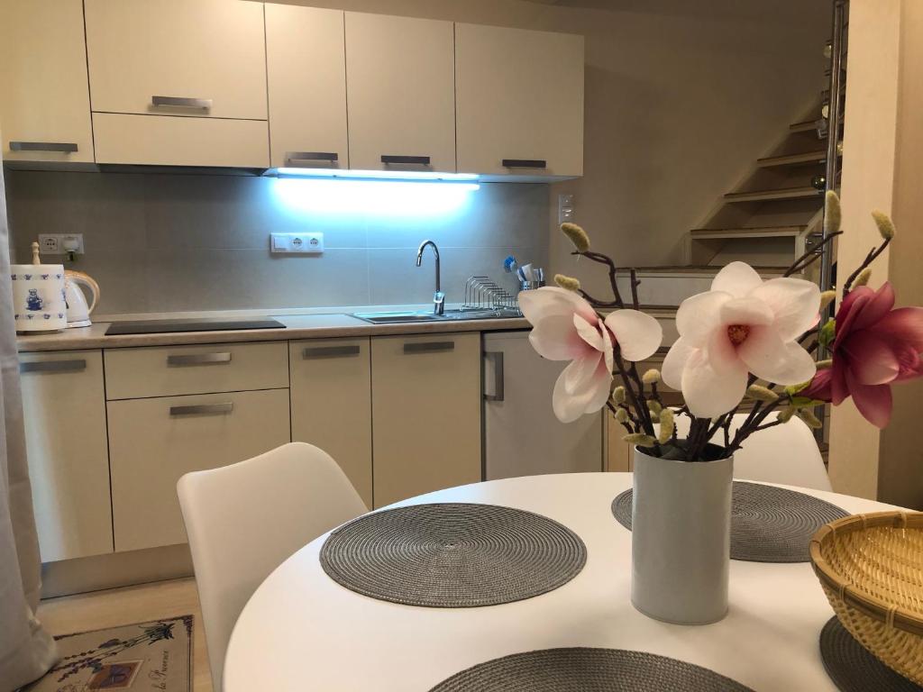 Dapur atau dapur kecil di Beachfront Studio Apartman