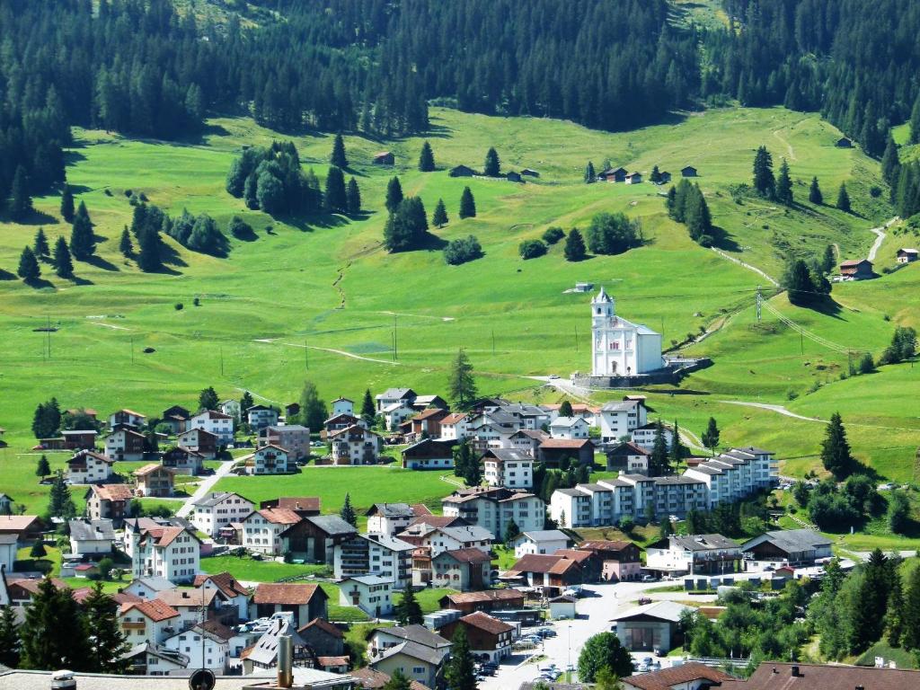 Příroda nedaleko apartmánu