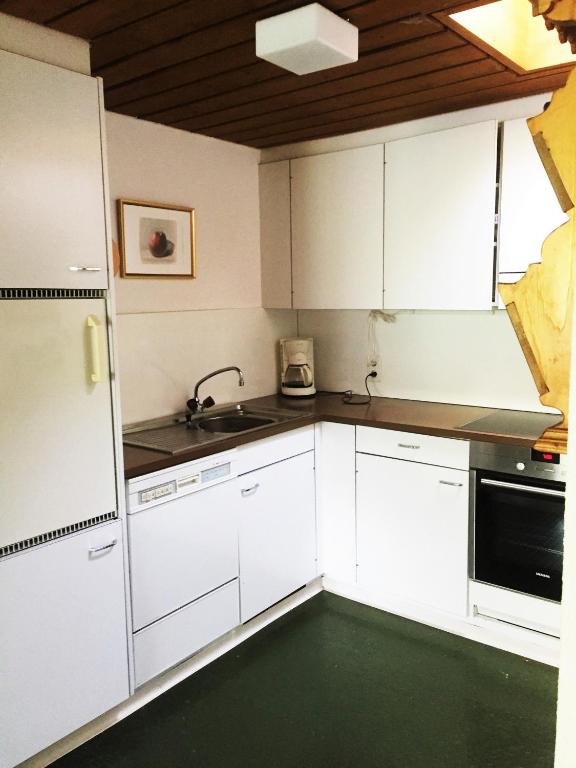 Kuchyň nebo kuchyňský kout v ubytování Penthouse Tgesa Tgampi T33