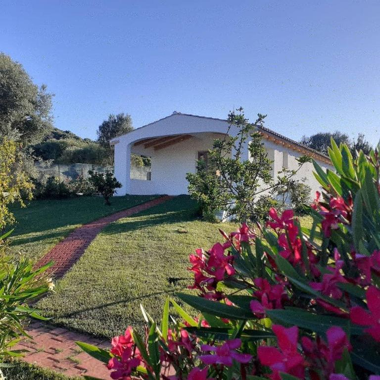 A garden outside SardAma B&B Affittacamere