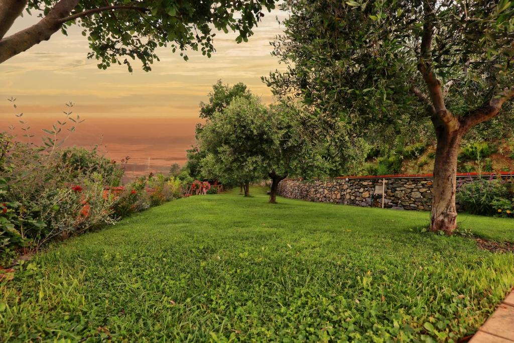 A garden outside Totohouse Da Marco piscina riscaldata