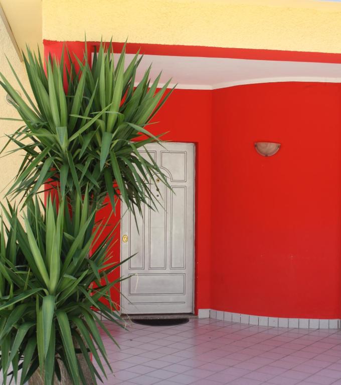Fotografie z fotogalerie ubytování B&B Paradiso v destinaci Falerna