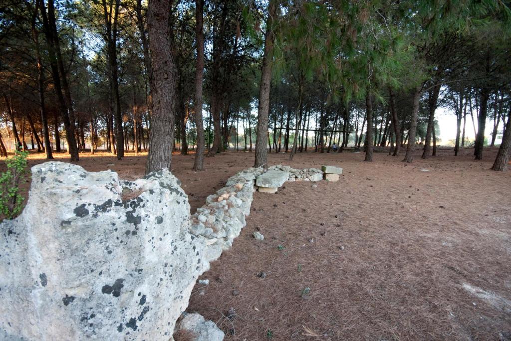 Příroda nedaleko apartmánu