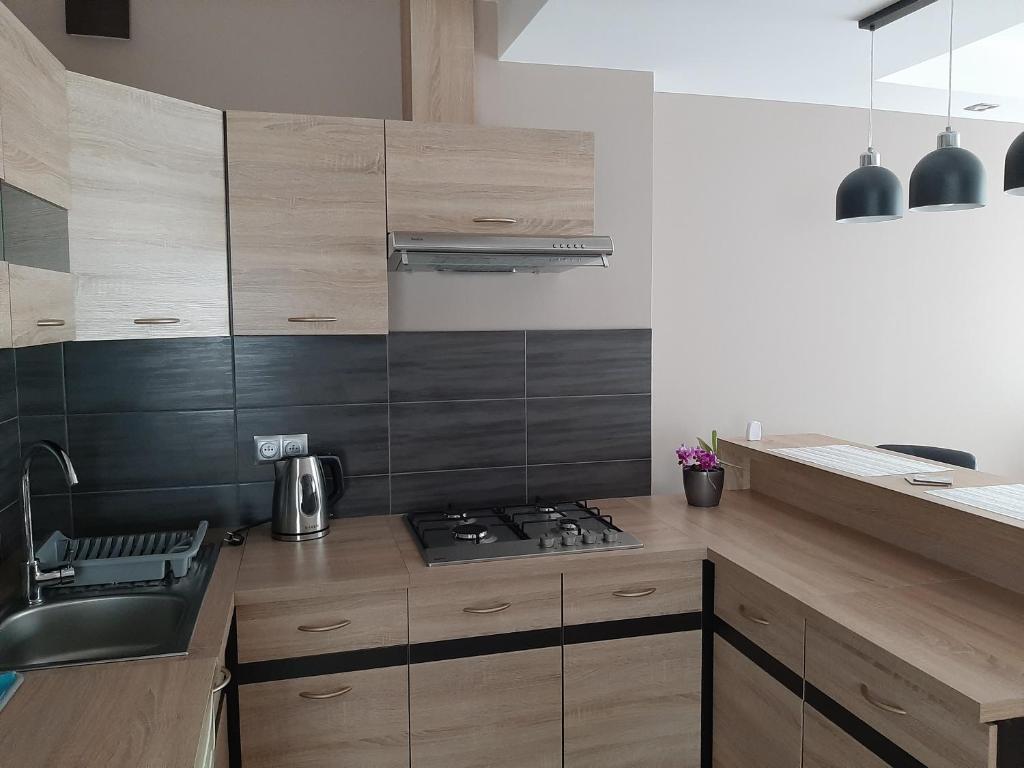 Apartamenty ,,Trzy Sosny'' Rymanów-Zdrój - Appartement Met Terras