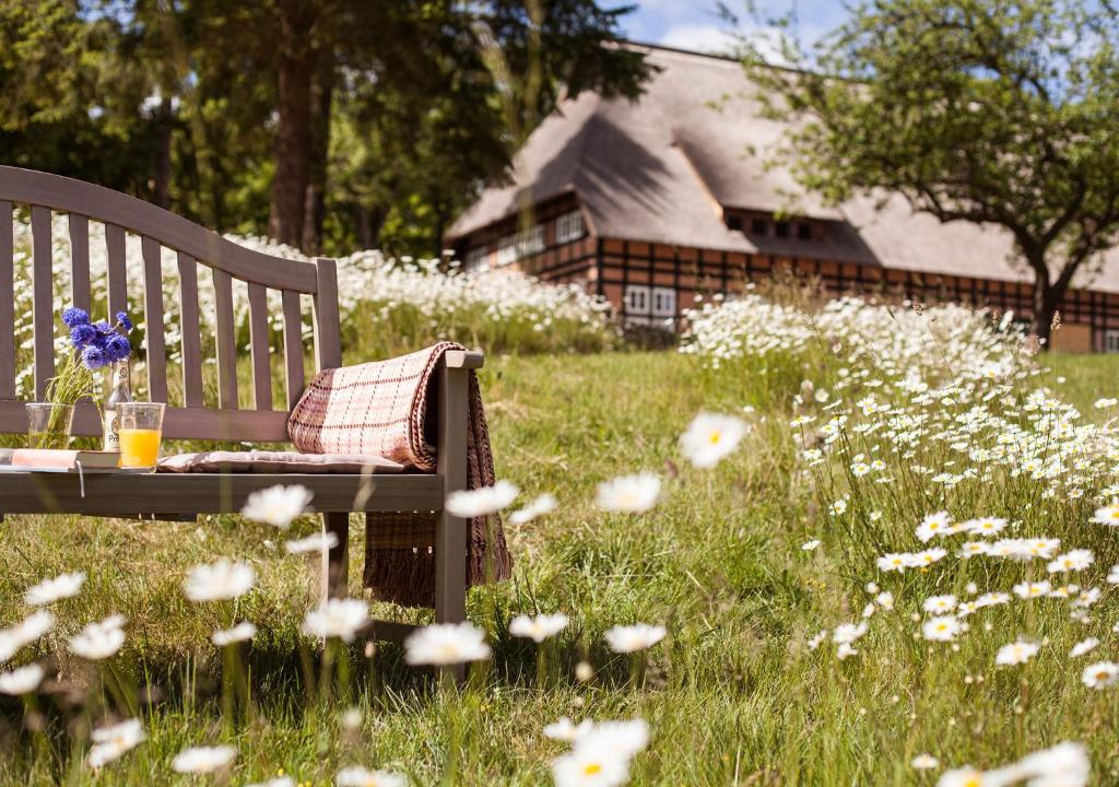 a wooden bench sitting in a field of flowers at Park am See, HOTEL SPORT SPIRIT in Penzlin