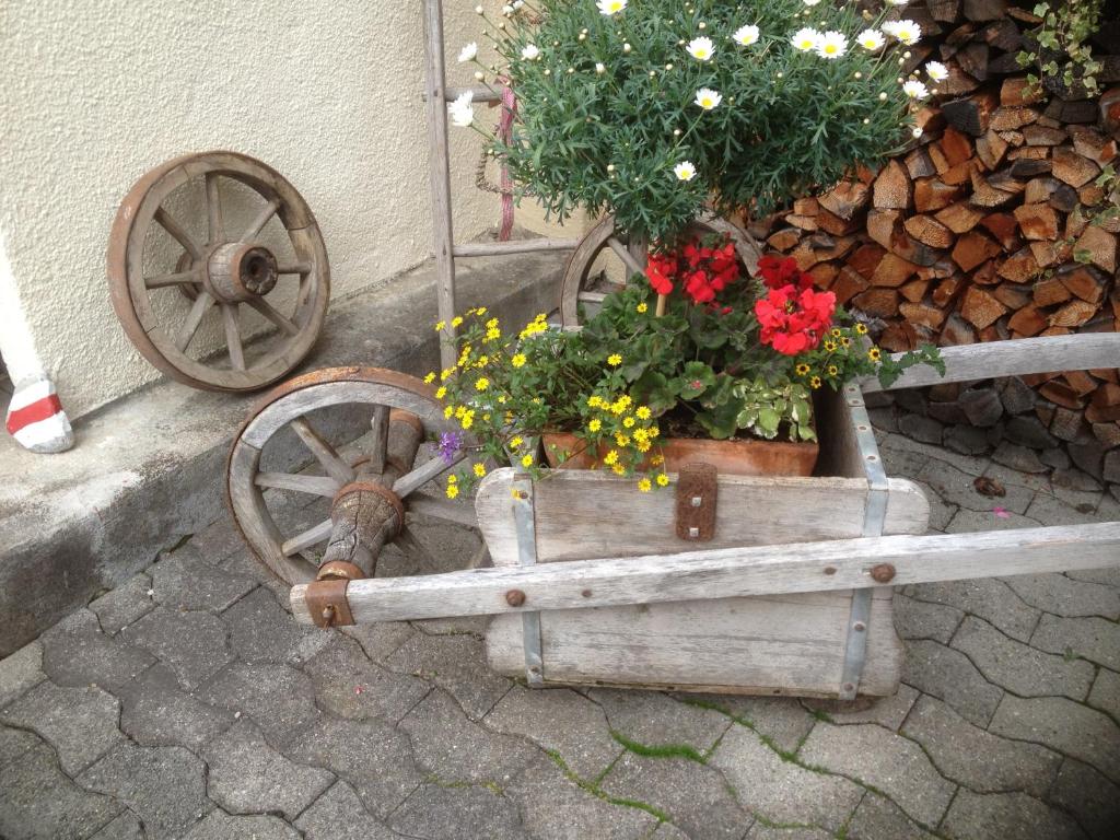 Zahrada ubytování Hotel Schöntal