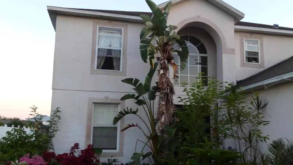 A Perfect Place to Stay, Kissimmee, Statele Unite ale Americii