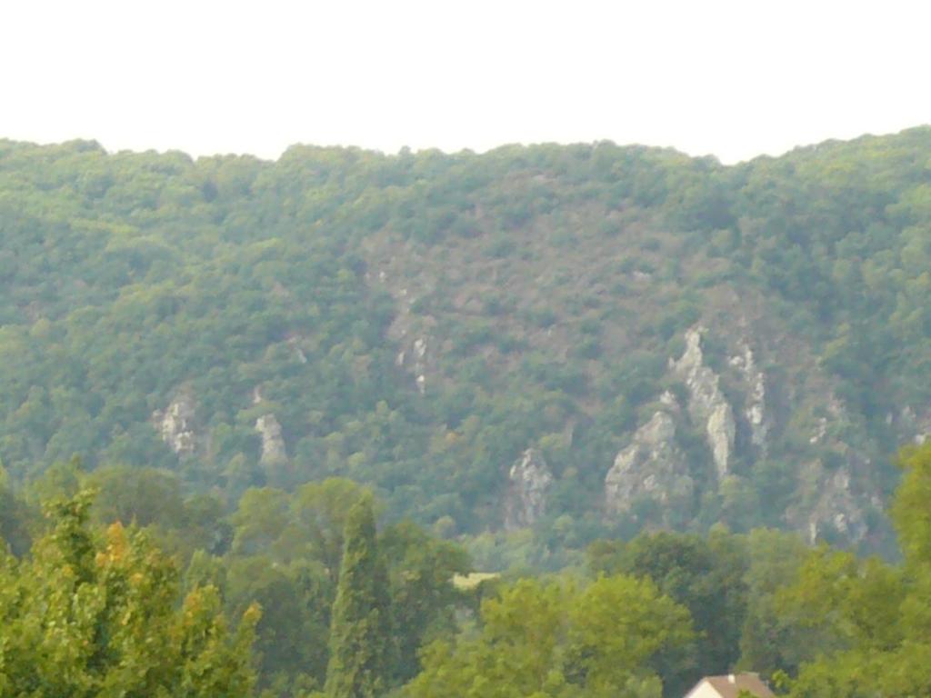 Příroda nedaleko penzionu