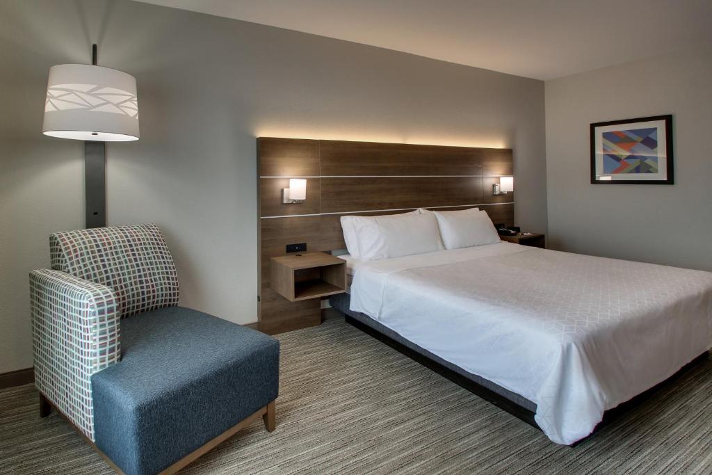 Holiday Inn Express Hotel & Suites Waukegan/Gurnee, an IHG Hotel - 1 King Standard