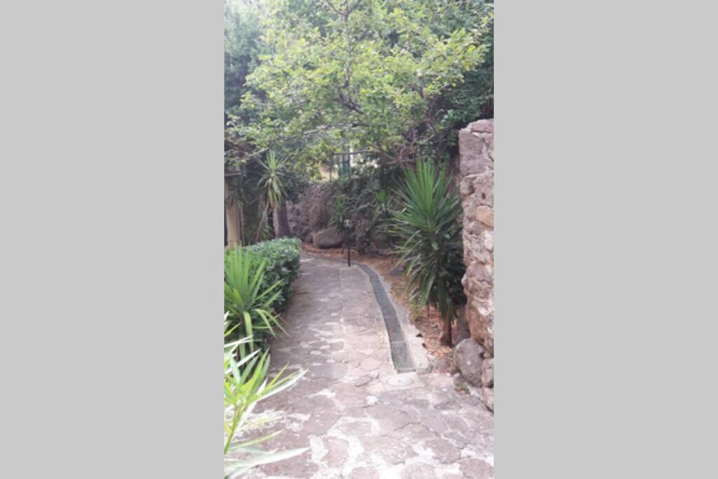 Fotografie z fotogalerie ubytování Casa Elicriso v destinaci Porto Vecchio