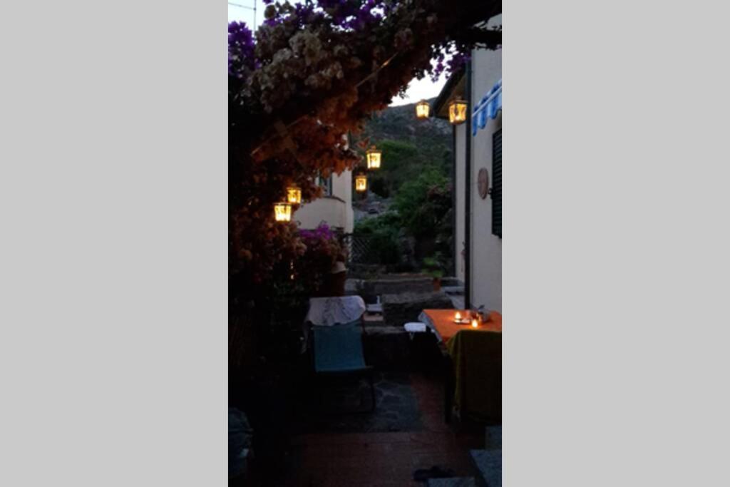Fotografie z fotogalerie ubytování Casa Elicriso v destinaci Porto Vecchio
