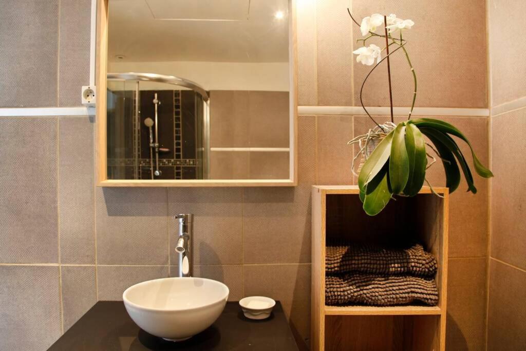 a bathroom with a sink and a mirror and a plant at Maison de Charme Rénovée in Cucuron