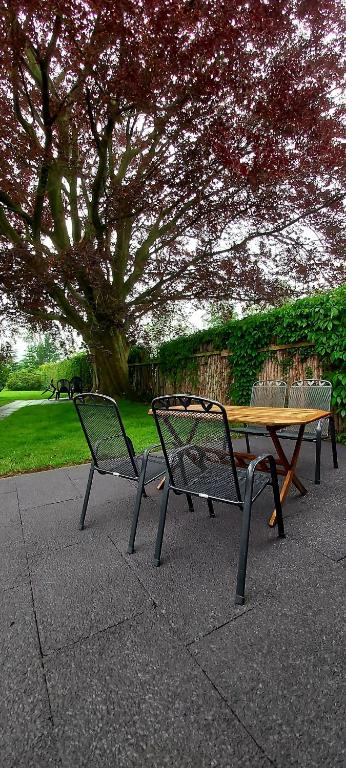 two benches sitting next to a table and a tree at Ferienhaus Nannen in Rechtsupweg