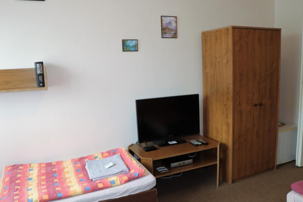 a bedroom with a bed and a small table with a tv at Penzion Bezděkov in Rakovník