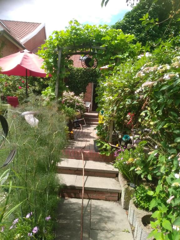Zahrada ubytování Ferienwohnung am Siel