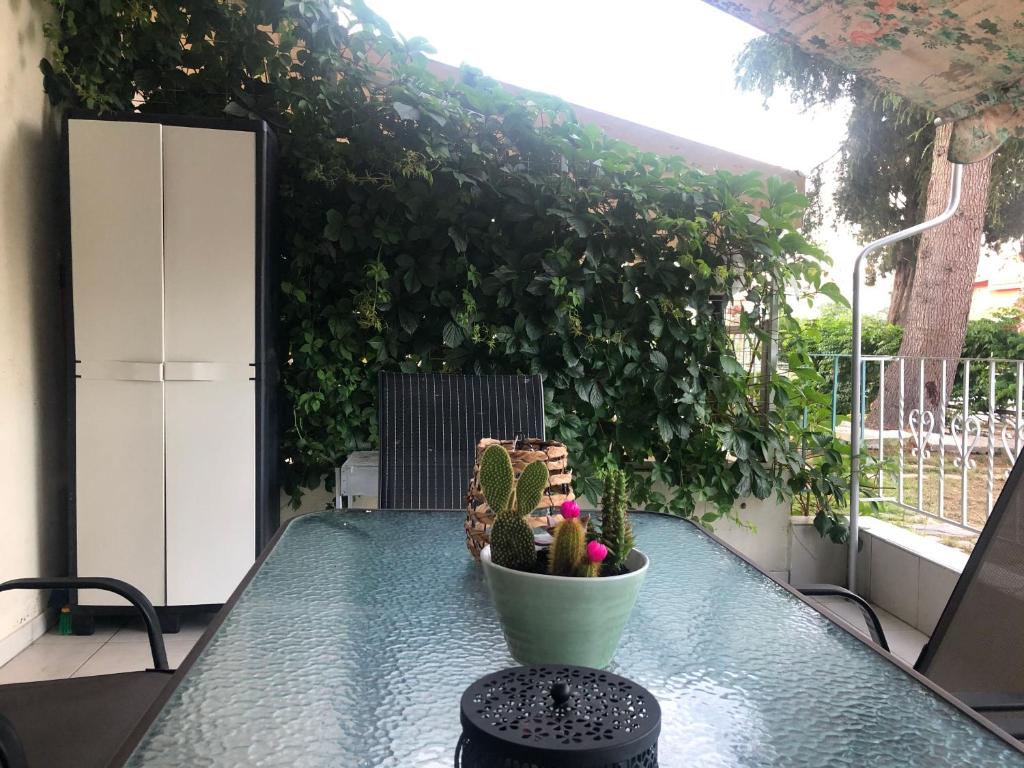 A balcony or terrace at Anemos Apartment Palio