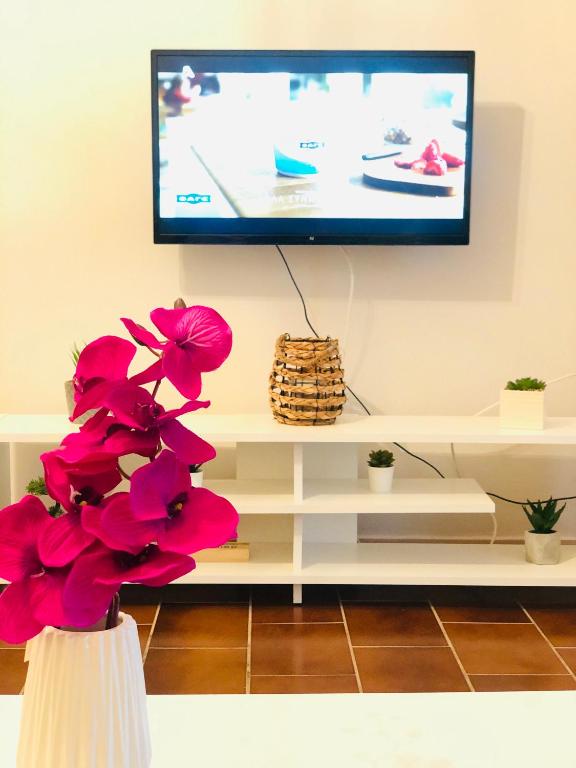 A television and/or entertainment centre at Anemos Apartment Palio