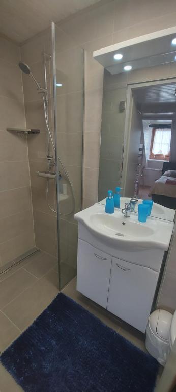 Un baño de Gasthof Altes Hammerherrenhaus