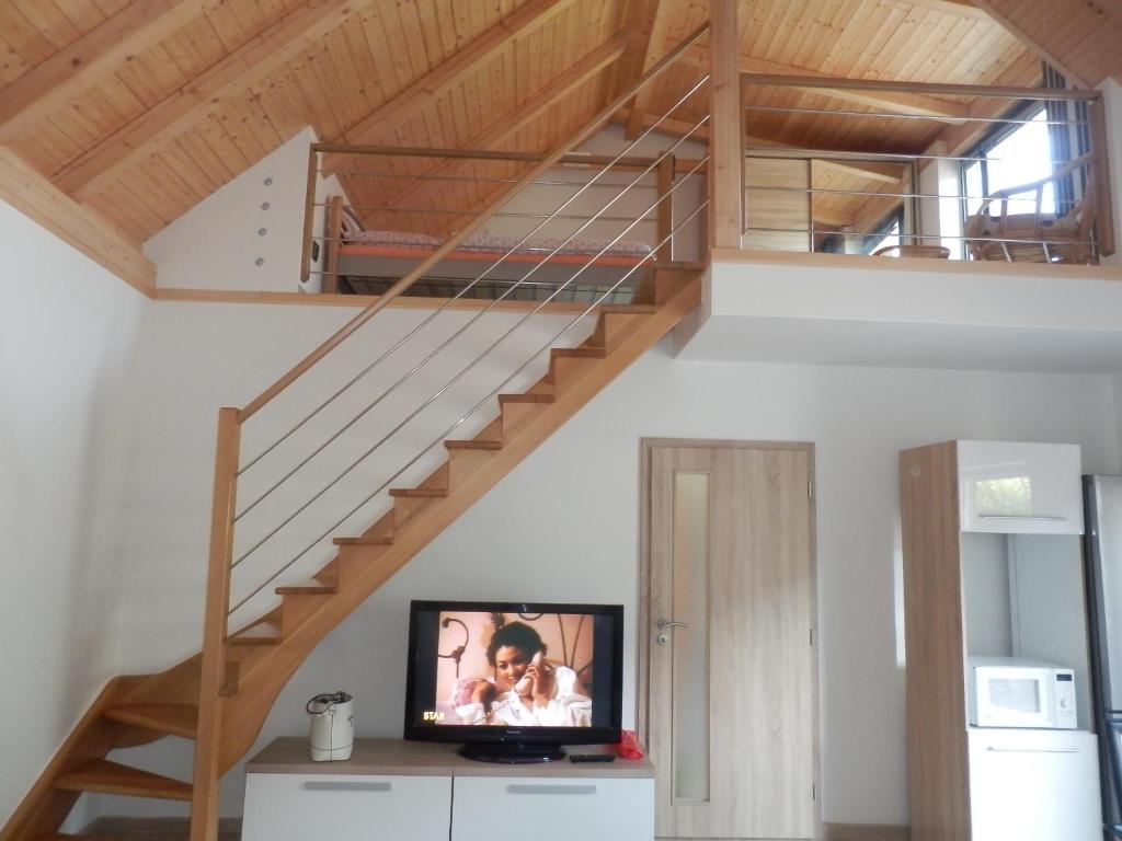TV a/nebo společenská místnost v ubytování Apartmán Jana