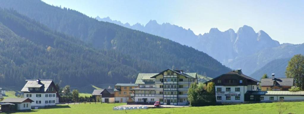 a group of buildings in a field with mountains in the background at Appartement Haarlem Gosau in Gosau