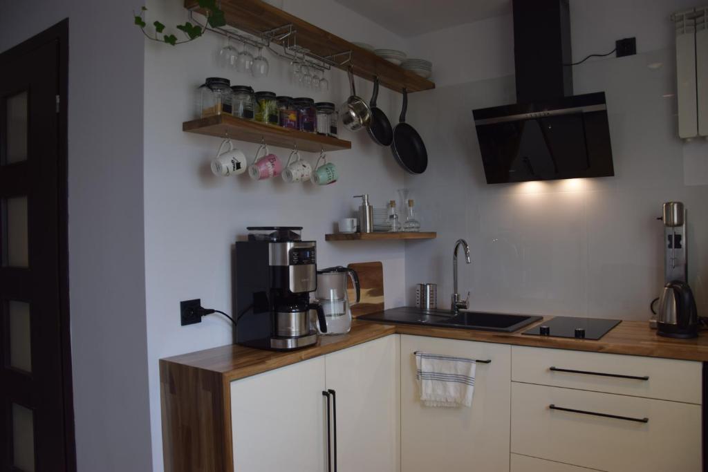 Kuchyň nebo kuchyňský kout v ubytování Apartament Kolejowa