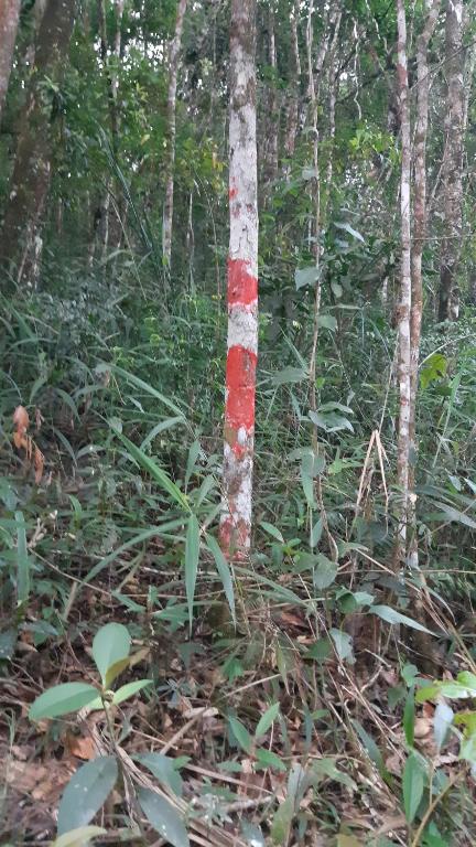  Sossego Da Mata