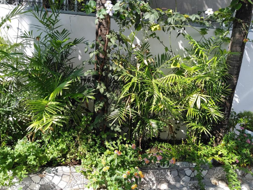 Mia House Homestay Phan Thiet
