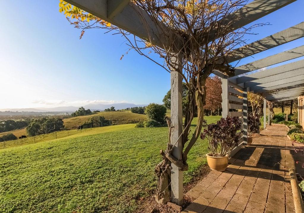 a view from the porch of a house with a tree at Gracedale Hills Homestead in Healesville