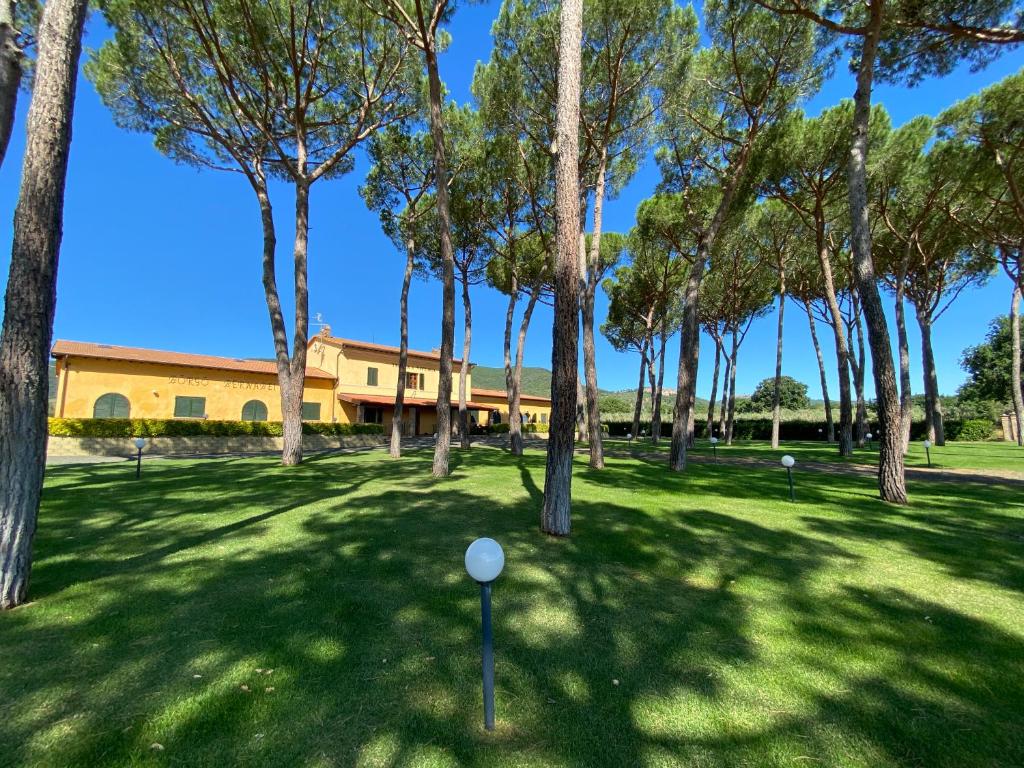 a group of trees in front of a building at Borgo Bernabei in Buriano