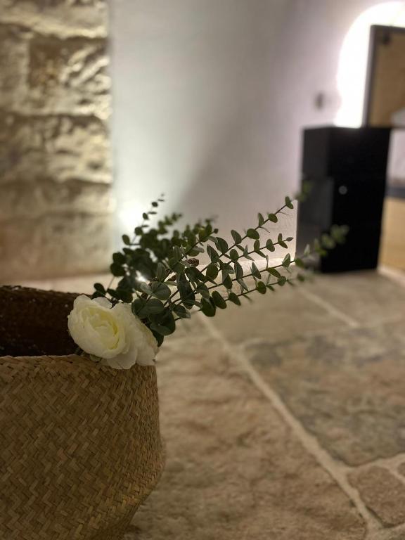 Fotografie z fotogalerie ubytování BORGOBELTRANI v destinaci Trani