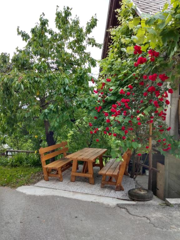 Zahrada ubytování Pr' Hribar