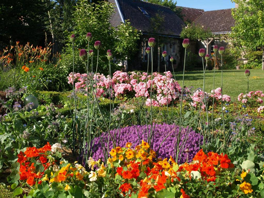 un jardin rempli de fleurs colorées dans l'établissement Le Petit Villandry, à Villandry