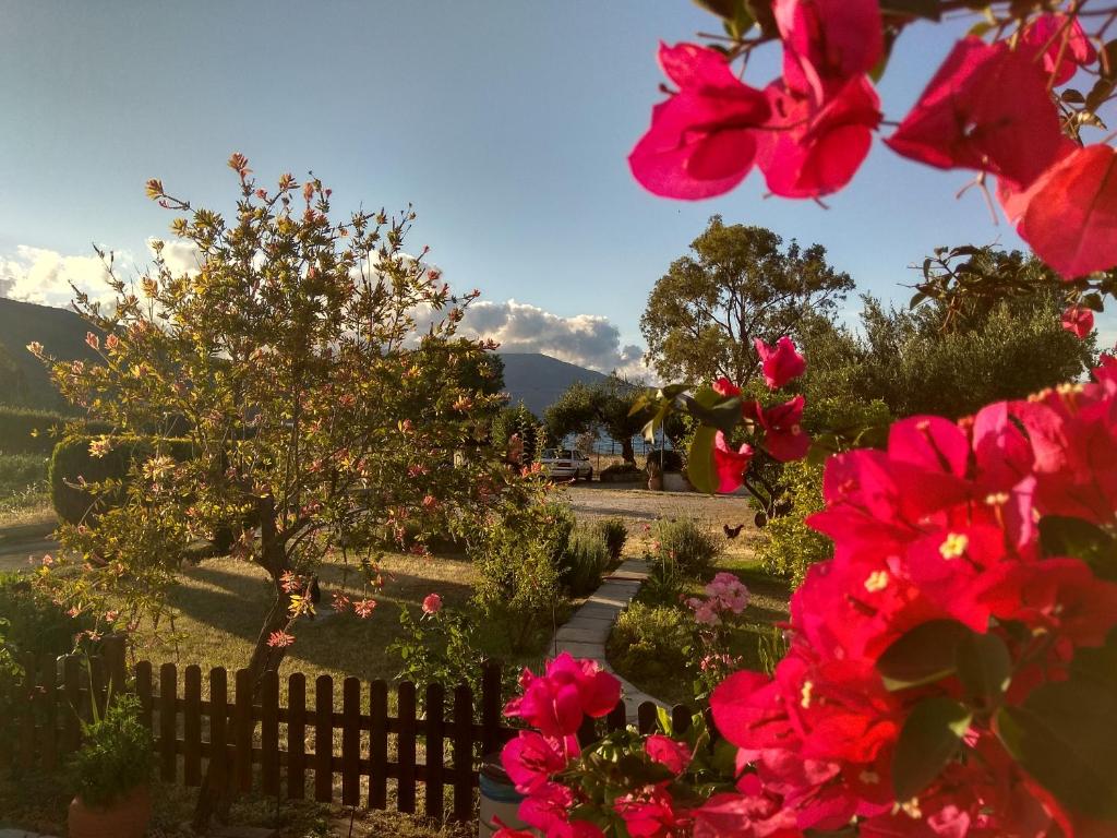 Apartments Katerina by the sea - 1