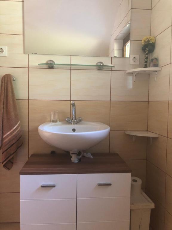 een badkamer met een wastafel en een spiegel bij Vineyard Cottage Planinc in Črnomelj
