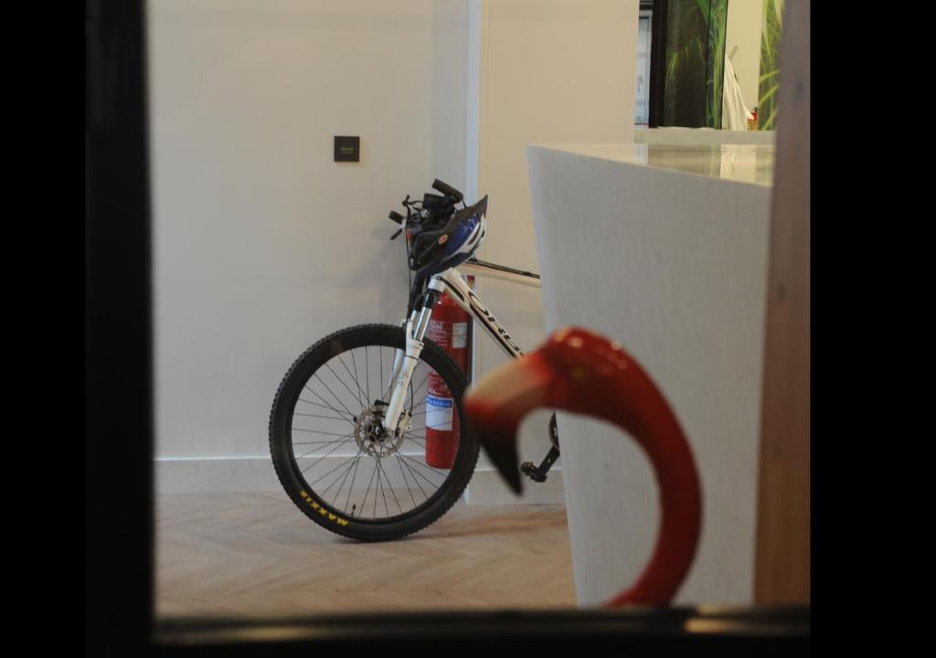 Jízda na kole v ubytování Hotel Aitana nebo okolí