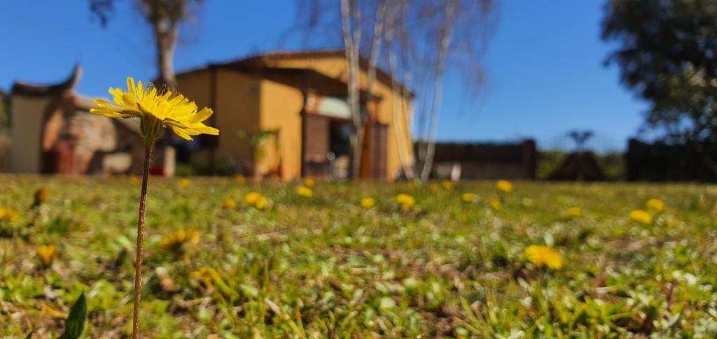 Vonkajšia záhrada v ubytovaní Masia Can Bachs