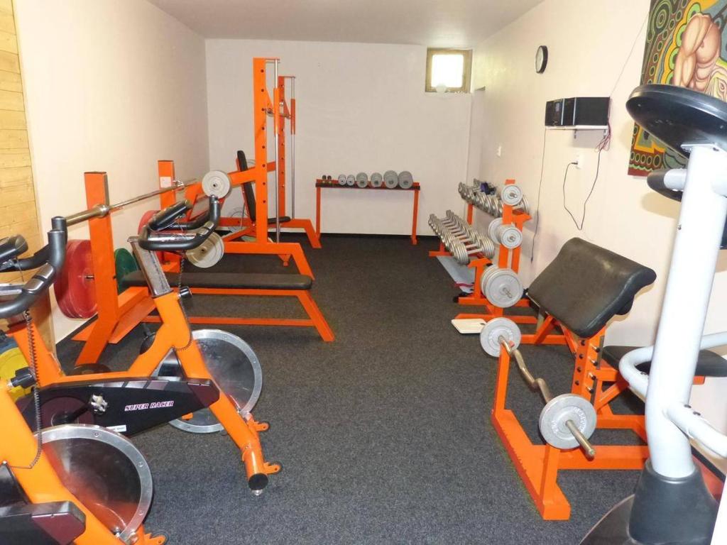 Fitness centrum a/nebo fitness zařízení v ubytování Cihlářka v Krkonoších - Apartmán 206
