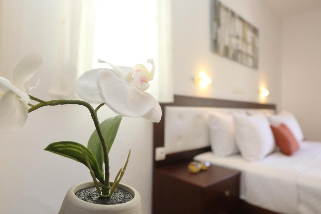 Villa Magda Maria - 16