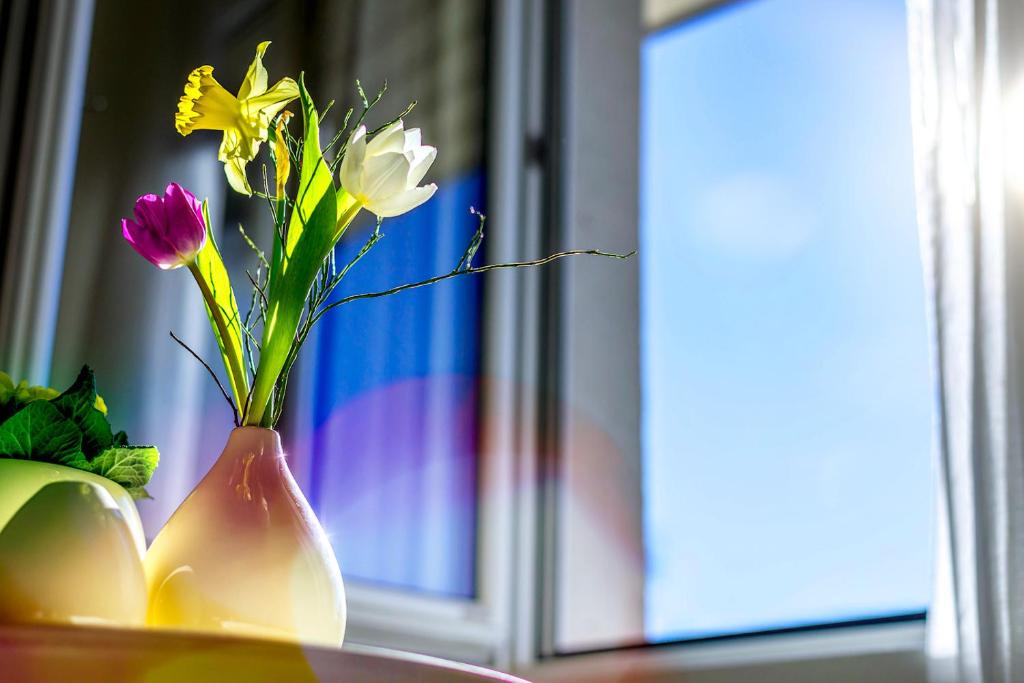 Hotel Stoiser Graz -Parkplatz inbegriffen! - Resim 12