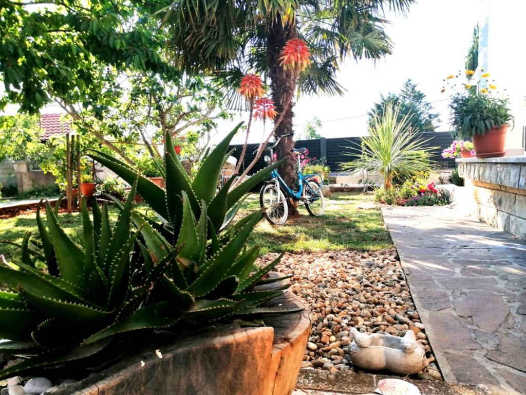 Lovely Sea View House in Malinska Island Krk - 11